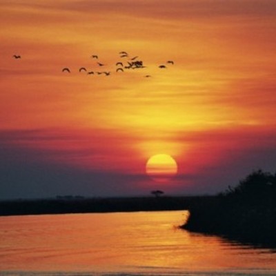 Timeline: Professional Timeline