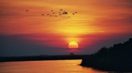 Timeline: Professional Timeline