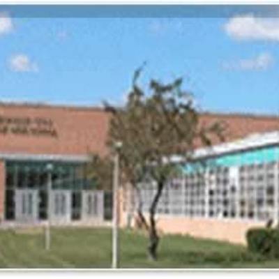 Timeline: Life After High School