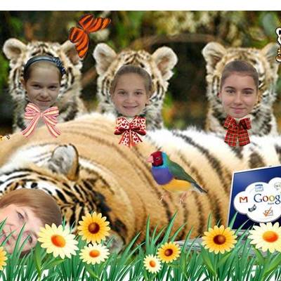 Timeline: Tiger-tape