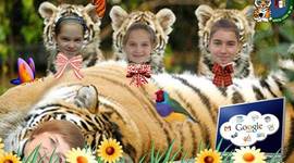 Timeline: Tiger-tape