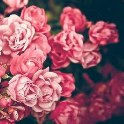 Timeline: Ghufran Mearaj