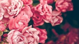 Timeline: Ghufran Mearaj