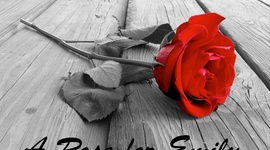 Timeline: A Rose for Emily Timeline