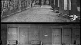 Timeline: Informatica