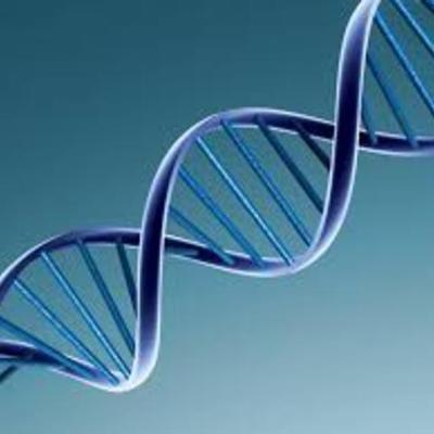 Timeline: DNA Discoveries