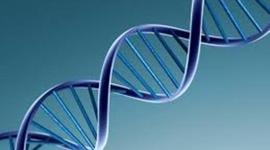 Timeline: DNA Discoveries