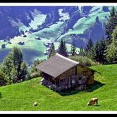 Timeline: Alpine Countries