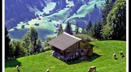 Timeline: Alpine Countries