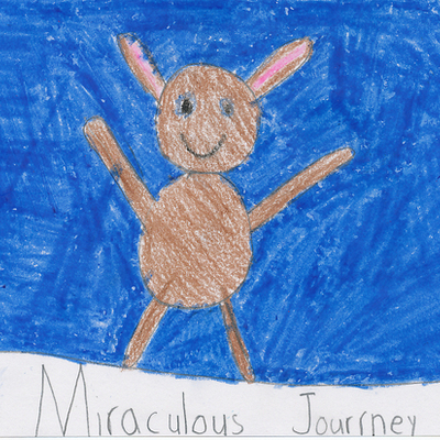 Timeline: Edward Tulane's Time Line