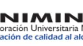 Timeline: Estado de Investigación