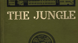 Timeline: The Jungle and the Early 1900's