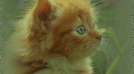 Timeline: Супер компьютер