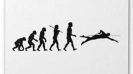 Timeline: EVOLUCION DE LA NATACION