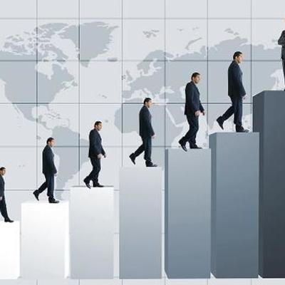 Timeline: Percurso Profissional