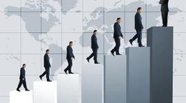 Timeline: Percurso Profissional