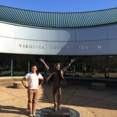 Timeline: The Road to Success