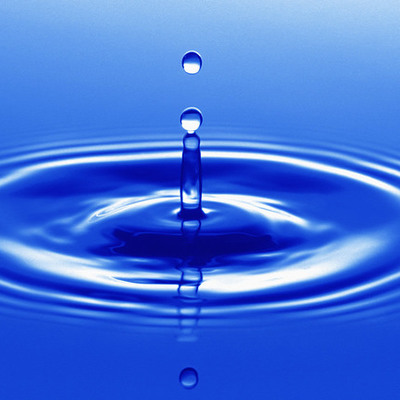 Timeline: Science Poem Project