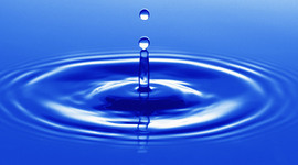 Timeline: Science Poem Project