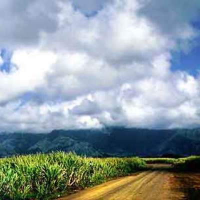 Timeline: Kauai Sugar Industry