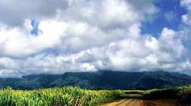 Timeline: Kauai Sugar Industry