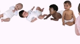 Timeline: Physical and Cognitive development