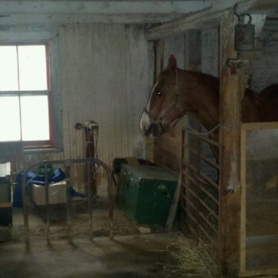 Timeline: 30 mois de ma ferme