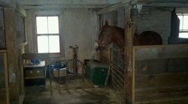 Timeline: 30 mois de ma ferme