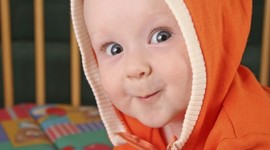 Timeline: Toddler Timeline