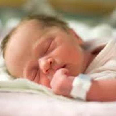 Timeline: clild development; Toddlers