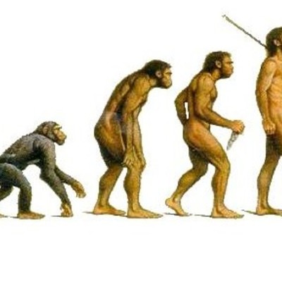 Timeline: La evolución de los homínidos.