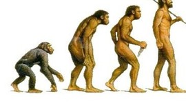 Timeline: La evolución de los homínidos.