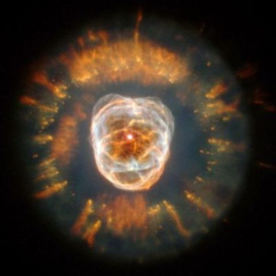 Timeline: Neuton Stars