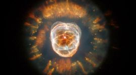 Timeline: Neuton Stars