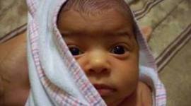 Timeline: Toddler Timeline