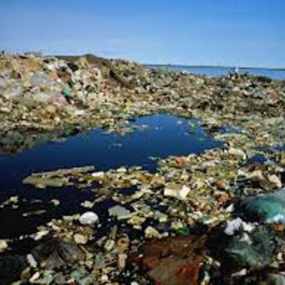 Timeline: Environmental Pollution