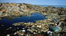 Timeline: Environmental Pollution