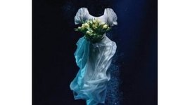 Timeline: Distant Waves