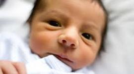 Timeline: toddler timeline