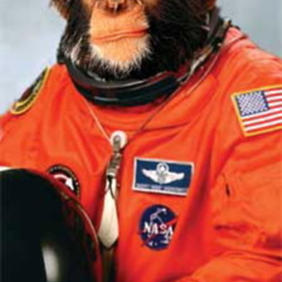 Timeline: Animals in Space