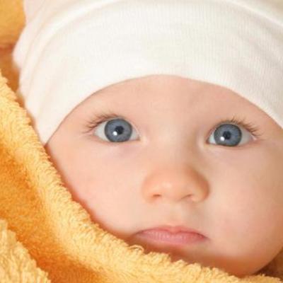 Timeline: Toddler Timeline