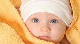 Timeline: Toddler Timeline