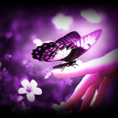 Timeline: ¿QUÉ ME QUIERES AMOR?