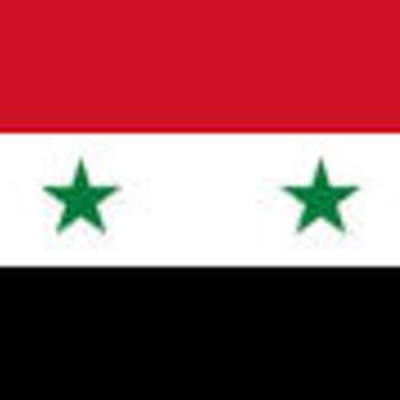 Timeline: Syrian Struggle