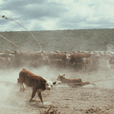 Timeline: Canada 1945-1982