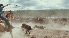 Timeline: Canada 1945-1982