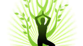 Timeline: Cronograma Proyecto "El Yoga entra en nuestra escuela"