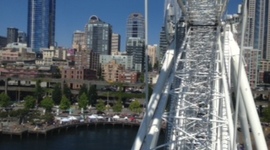 Timeline: Quality Initiative