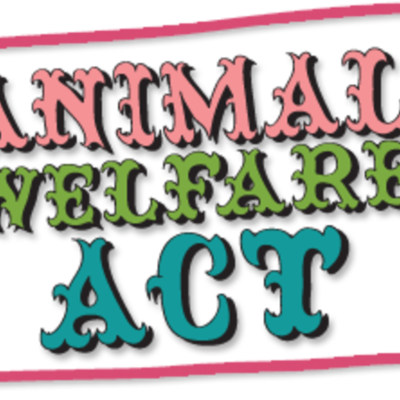 Timeline: Animal Welfare Act of 1966