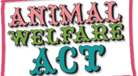Timeline: Animal Welfare Act of 1966